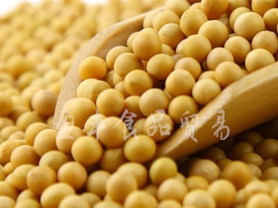 低温烘焙大豆熟五谷杂粮熟黄豆厂家批发现磨磨粉豆浆批发图3