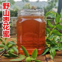 农场蜂蜜枣花蜜 蜂农自产自销枣花原蜜贴牌 500g土蜂蜜批发