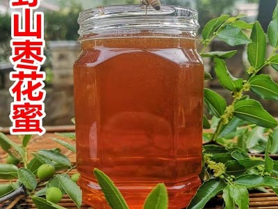 农场蜂蜜枣花蜜 蜂农自产自销枣花原蜜贴牌 500g土蜂蜜批发图2