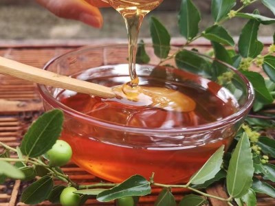 农场蜂蜜枣花蜜 蜂农自产自销枣花原蜜贴牌 500g土蜂蜜批发图4