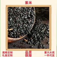 大量批发紫米紫糯米500g新米散装产黑糯粥血糯五谷杂粮一件代发