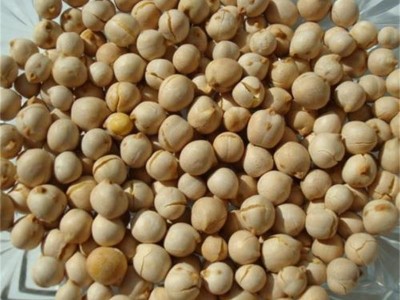 厂家低温烘焙熟鹰嘴豆 五谷杂粮磨粉原料 现磨豆浆图1