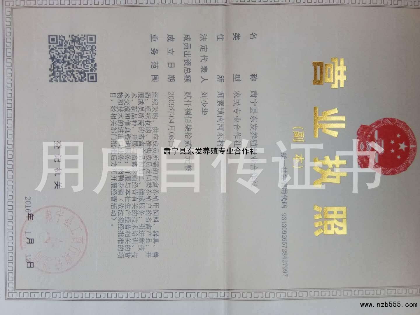 肃宁县东发养殖专业合作社