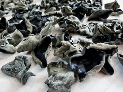 木耳黑500g 1.8-2.5东北农家特产干货无根 散装 批发木耳东北木耳图2