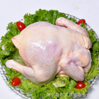 东发养殖农家散养土鸡童子鸡整鸡约750g/只走地鸡三黄鸡整吨销售
