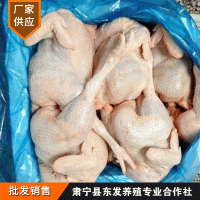 厂家供应冷冻白条鸡 整箱批发 白条老母鸡批发鸡肉