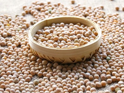 【豌豆】厂家批发豌豆白豌豆黄豌豆五谷杂粮量大从优50公斤黄豌豆图3