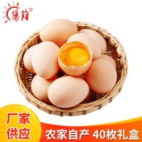 厂家批发鲜鸡蛋 40枚新鲜营养农家五谷鲜鸡蛋现捡现发礼盒装