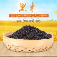 批发25kg五谷杂粮黑米 袋装东北黑香米 煮粥做饭营养健康浓香