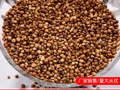 红高粱 高粱 酿酒高粱 东北高粱 磨粉高粱 红高梁现货图2