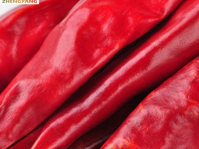 朝天椒 辣度2万新一代辣椒干批发 中辣干辣椒厂家直供图3