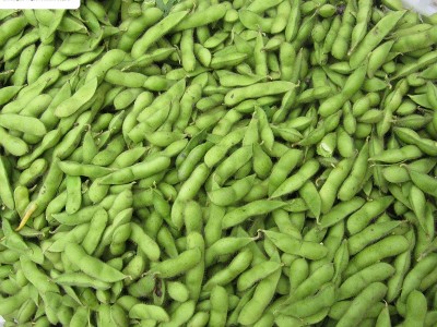 现货供应毛豆角带壳 冷冻蔬菜 新鲜速冻毛豆角速冻果蔬 量大优惠图3