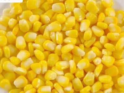 厂家直销批发脱水甜玉米粒 华珍速冻甜粘糯玉米粒 水果玉米粒图2