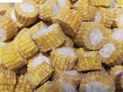 厂家直销批发脱水甜玉米粒 华珍速冻甜粘糯玉米粒 水果玉米粒图3