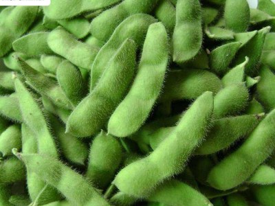 河北厂家供应毛豆角 速冻果蔬带壳豆角 毛豆荚煮熟即食图2