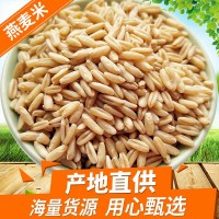 燕麦米 批发燕麦仁粒裸燕麦新产莜麦雀麦八宝粥米原料杂粮24.5kg