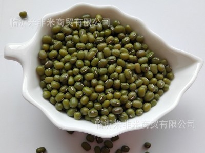 明绿豆批发笨绿豆绿豆粥汤原料散装25kg五谷杂粮新绿豆图1