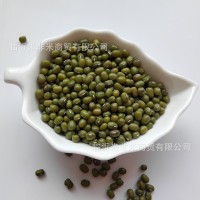 明绿豆批发笨绿豆绿豆粥汤原料散装25kg五谷杂粮新绿豆