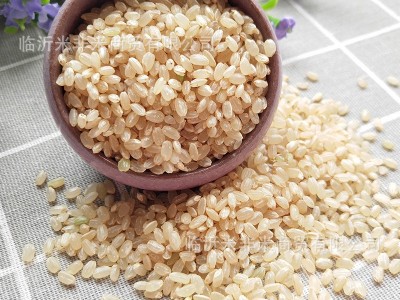 糙米东北胚芽糙米玄米糙米饭糊卷原料炒米散装新米杂粮批发23.5kg图1