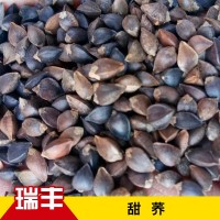 批发供应甜荞500g黑荞麦带壳甜荞麦酿酒鸟粮五谷杂粮原料烧酒荞麦