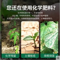 内蒙古纯羊粪腐熟发酵无臭花肥料有机肥蚯蚓粪农家家用底肥室内