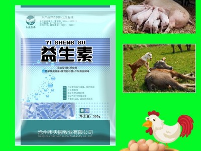 河北厂家销售饲料添加剂（益生素）图4