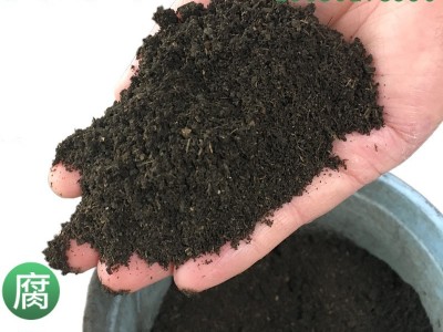 羊粪腐熟发酵果蔬底肥有机羊粪火龙果葡萄种植土壤改良发酵羊粪图2