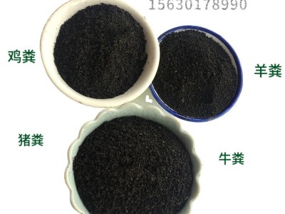 批发颗粒有机肥 微生物菌肥发酵有机肥生物菌肥微生物有机肥图3