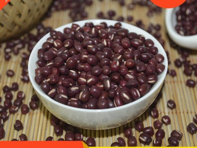 低温烘焙熟红豆 厂家直销 散装批发杂粮 现磨豆浆五谷磨粉原料图1