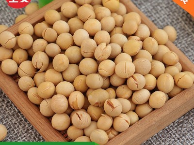 批发熟黄豆低温烘培五谷杂粮现磨豆浆原料东北黄豆5斤装图1