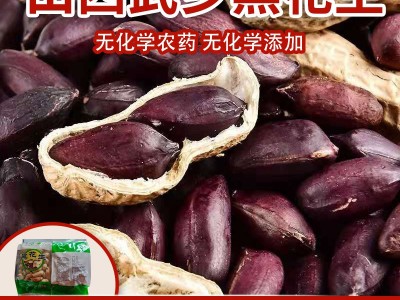 批发武乡黑花生带壳熟花生农产品花生欢迎选购图1