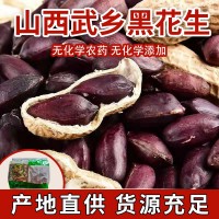 批发武乡黑花生带壳熟花生农产品花生欢迎选购