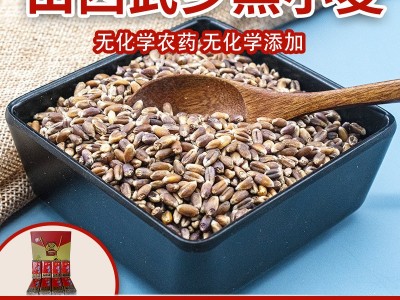 现货供应黑小麦五谷杂粮黑小麦黑麦粗粮量大从优图2