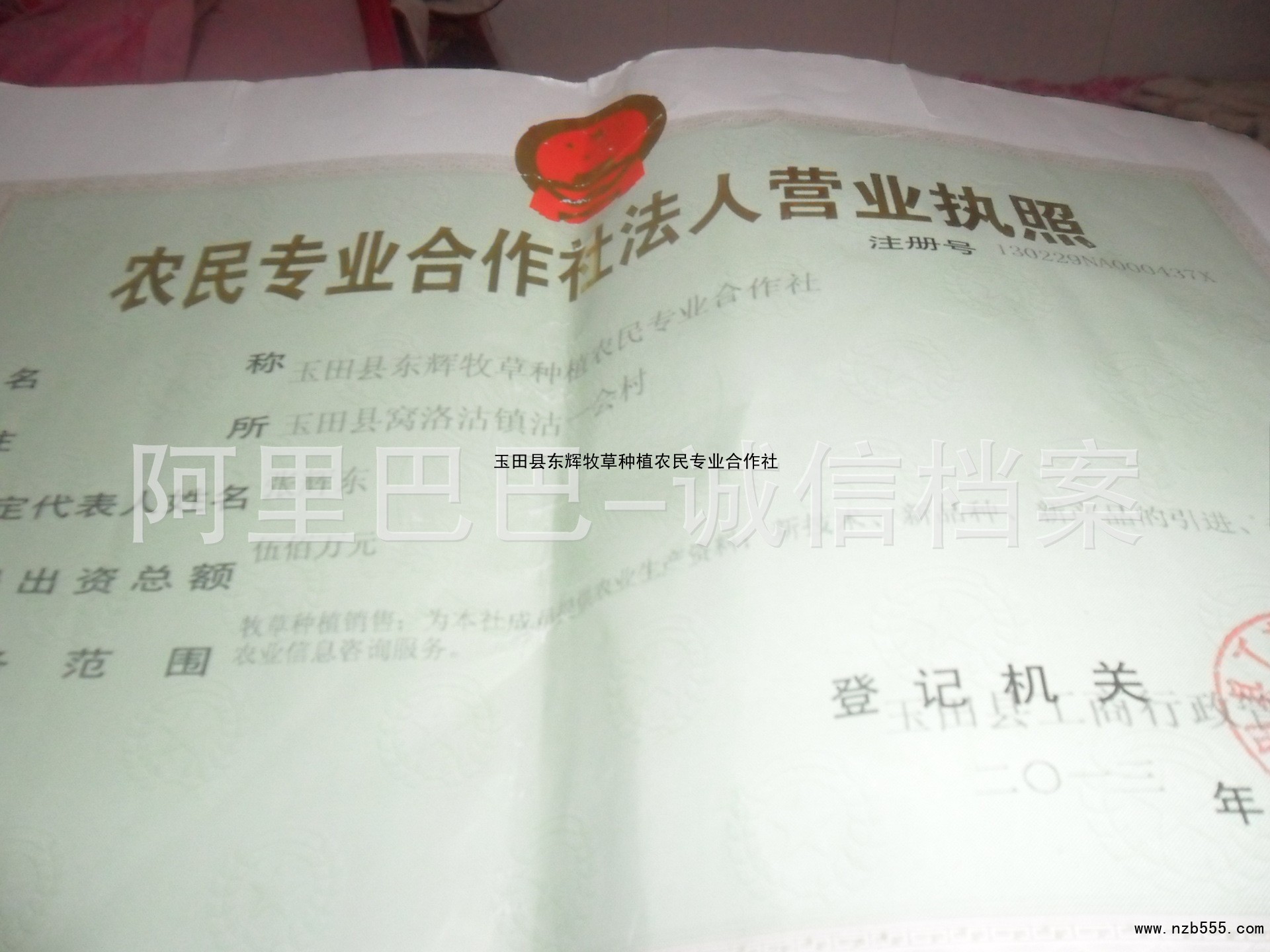 玉田县东辉牧草种植农民专业合作社
