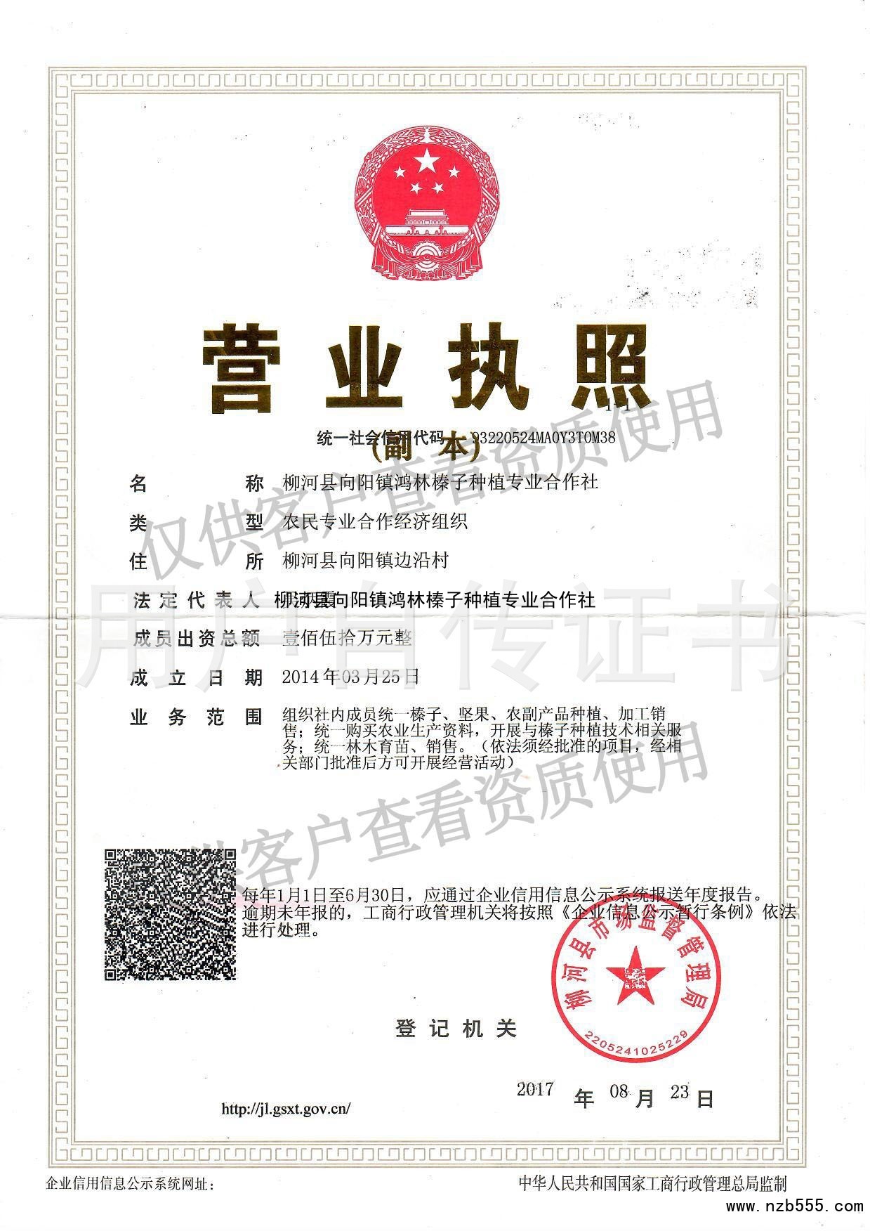 柳河县向阳镇鸿林榛子种植专业合作社