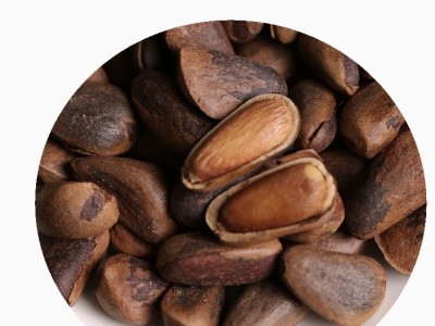 百世榛情东北特产新货原味散装坚果零食厂家批发开口松子特大500g图5