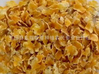 产地大量玉米熟化玉米压片 猪牛羊饲料 蒸汽玉米压片 压片玉米图1