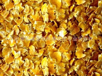 产地大量玉米熟化玉米压片 猪牛羊饲料 蒸汽玉米压片 压片玉米图3