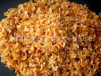 产地大量玉米熟化玉米压片 猪牛羊饲料 蒸汽玉米压片 压片玉米图2