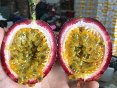 预售5月初发货百香果新鲜热带水果广西紫色百香果西番莲现摘现发图1