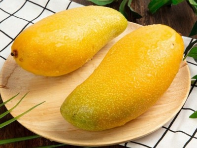 水仙芒海南金煌芒果香甜可口新鲜当季水果批发图4