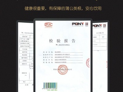 蒲公英茶 长白山蒲公英根茶 婆婆丁根茶 蒲公英带根干的图3