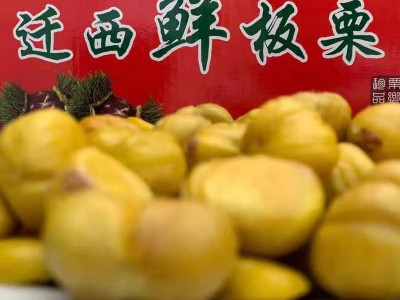 正宗迁西板栗图2