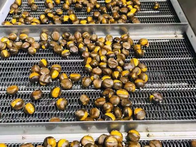 迁西冰栗 夏季新品板栗制作口感香甜入口即化夏季必备品 厂家批发图4