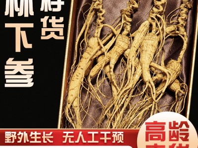 林下参干货东北人参长白山野山参野生晒籽老山叁泡酒礼盒现货代发图1
