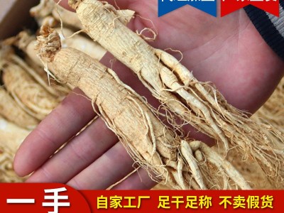 长白山人参批发整枝长白山干参生晒参白参东北特产人参干货图1