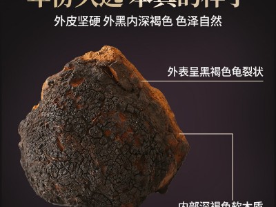桦树茸250g黑金颗粒白桦茸大块长白山桦褐孔菌白桦茸代发厂家直销图2