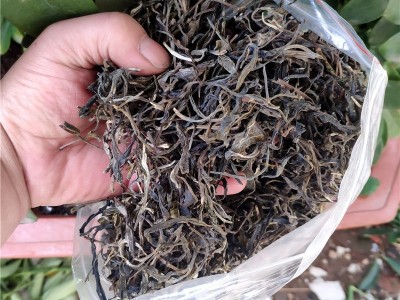 厂价批发云南普洱茶生茶 2021年早春临沧小树茶散装500克茶叶袋装图3