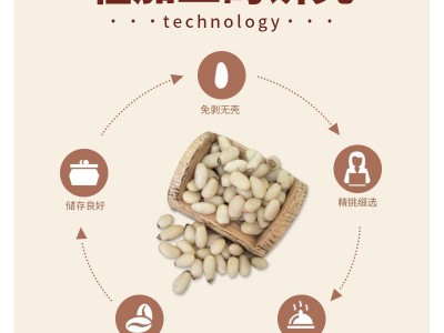 新货原味松子仁500g厂家批发华山松仁云南松仁东北红松仁马尾松仁图3