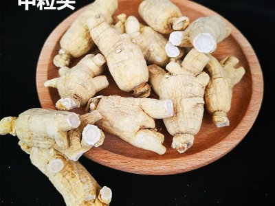 西洋参长白山花旗参条源头现货人参批发东北西洋参粒头礼盒特产图3
